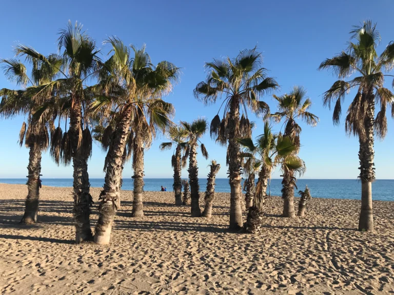 playa-de-coma-ruga