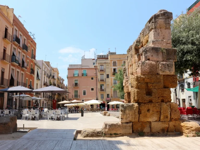 playa-del-forum