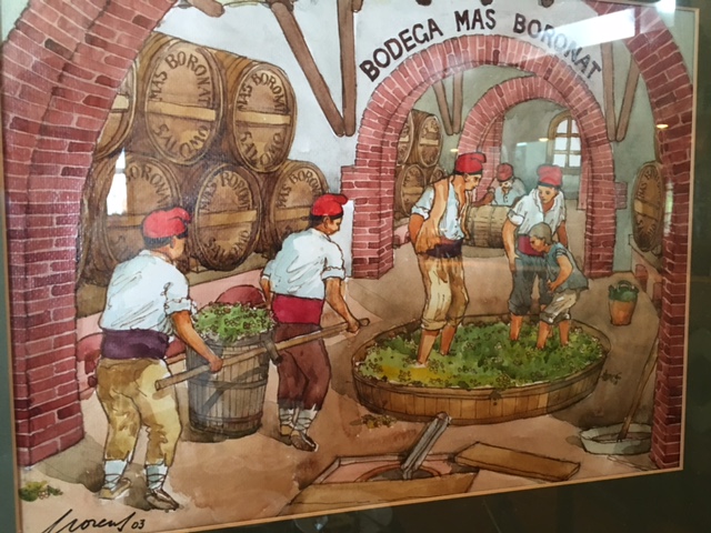 C 014 WINE